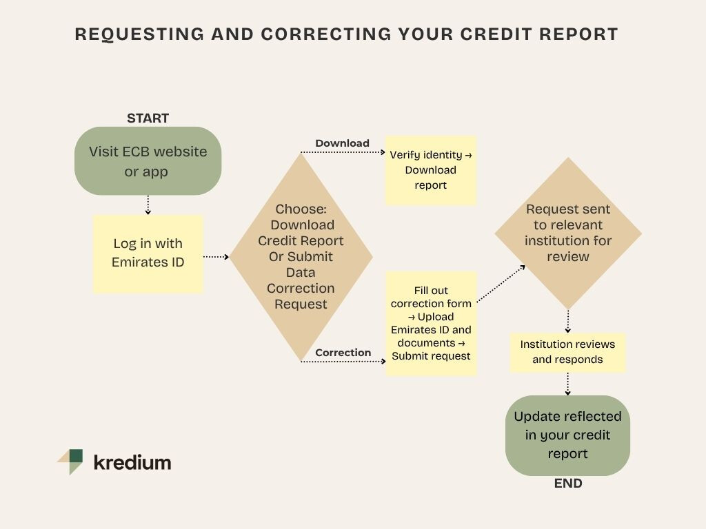 A flow chart with information how to request and correct a credit report.