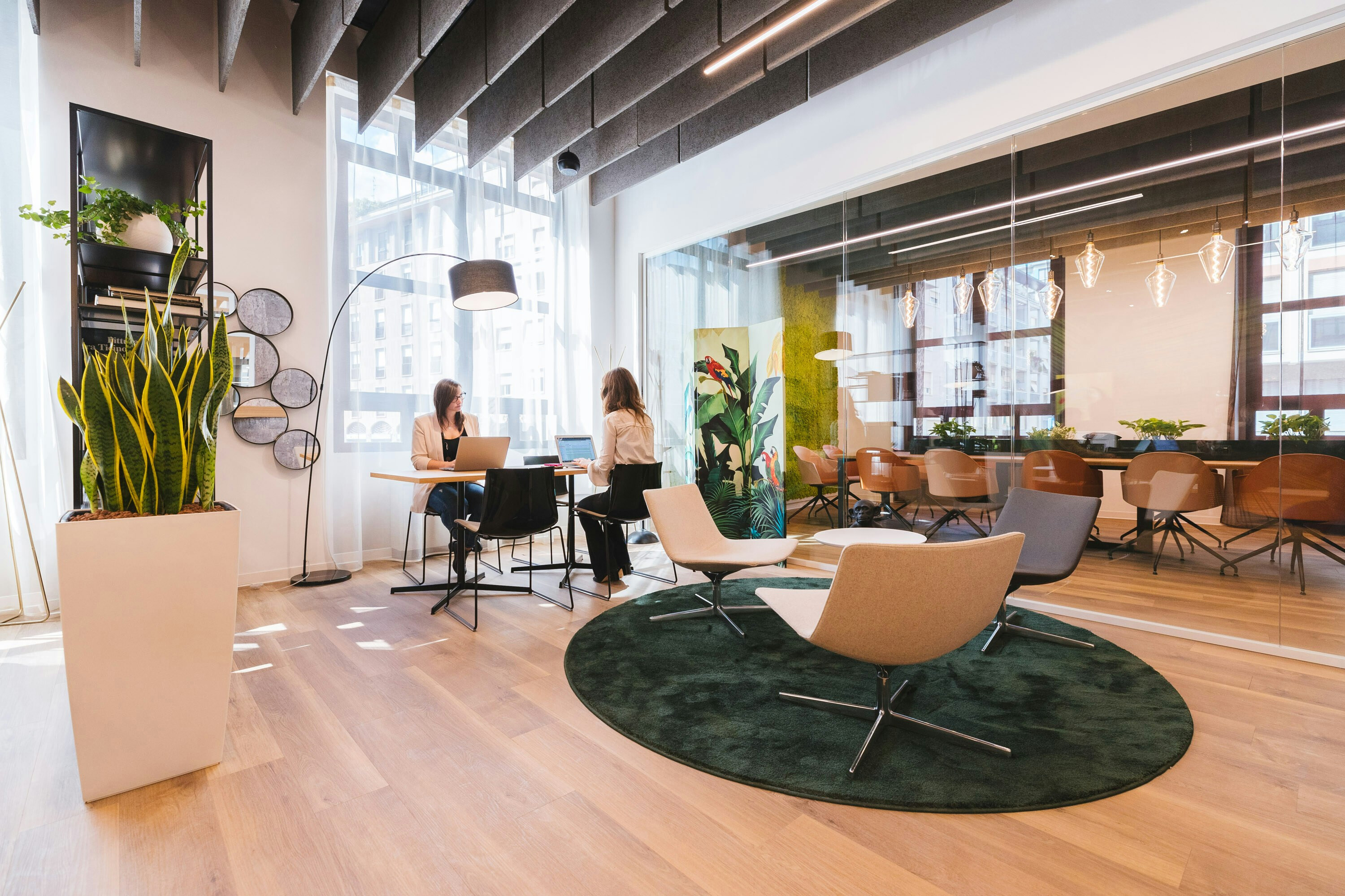 Two women in a modern office with chairs, a rug, and a big potted snake plant.
