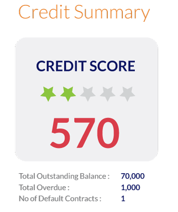 A credit summary
