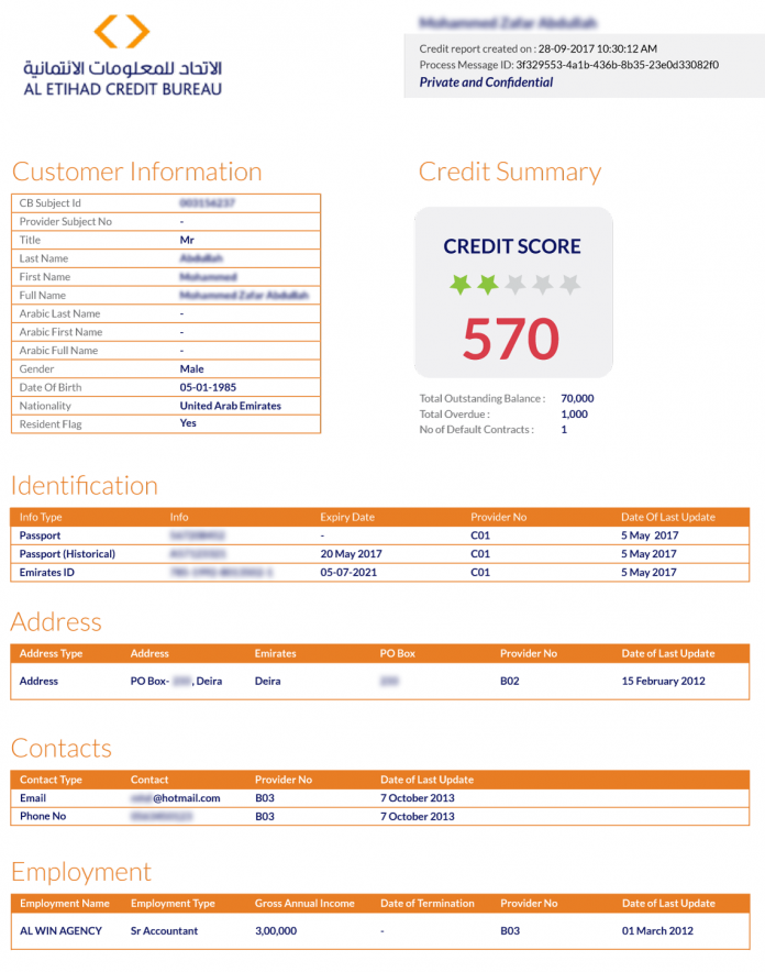 A sample credit report